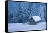 Wooden House in Winter Forest-mr. Smith-Framed Stretched Canvas