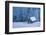 Wooden House in Winter Forest-mr. Smith-Framed Photographic Print