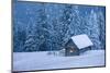 Wooden House in Winter Forest-mr. Smith-Mounted Photographic Print