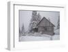 Wooden House in Winter Forest-mr. Smith-Framed Photographic Print