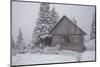 Wooden House in Winter Forest-mr. Smith-Mounted Photographic Print