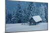 Wooden House in Winter Forest-mr. Smith-Mounted Photographic Print