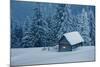 Wooden House in Winter Forest-mr. Smith-Mounted Photographic Print