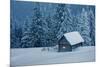 Wooden House in Winter Forest-mr. Smith-Mounted Photographic Print