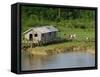 Wooden House with Plants and a Garden in the Breves Narrows in the Amazon Area of Brazil-Ken Gillham-Framed Stretched Canvas