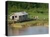 Wooden House with Plants and a Garden in the Breves Narrows in the Amazon Area of Brazil-Ken Gillham-Stretched Canvas