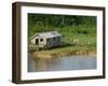 Wooden House with Plants and a Garden in the Breves Narrows in the Amazon Area of Brazil-Ken Gillham-Framed Photographic Print