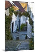 Wooden Houses and Cobbled Streets in Stavanger's Old Town-Doug Pearson-Mounted Photographic Print