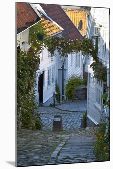 Wooden Houses and Cobbled Streets in Stavanger's Old Town-Doug Pearson-Mounted Photographic Print