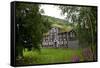 Wooden Houses, Trondheim, Norway, Arctic, Scandinavia, Europe-Olivier Goujon-Framed Stretched Canvas