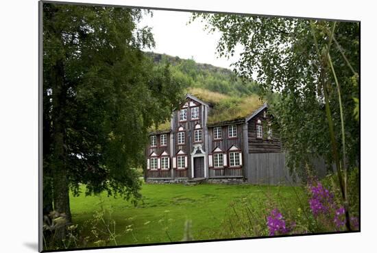 Wooden Houses, Trondheim, Norway, Arctic, Scandinavia, Europe-Olivier Goujon-Mounted Photographic Print