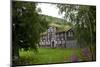 Wooden Houses, Trondheim, Norway, Arctic, Scandinavia, Europe-Olivier Goujon-Mounted Photographic Print