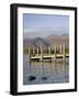Wooden Jetty at Barrow Bay Landing on Derwent Water Looking North to Skiddaw in Autumn-Pearl Bucknall-Framed Photographic Print