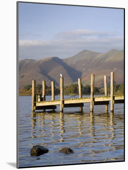 Wooden Jetty at Barrow Bay Landing on Derwent Water Looking North to Skiddaw in Autumn-Pearl Bucknall-Mounted Photographic Print