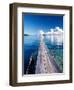 Wooden Jetty Extending off Kadidiri Island, Togian Islands, Sulawesi-Jay Sturdevant-Framed Photographic Print