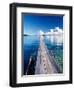 Wooden Jetty Extending off Kadidiri Island, Togian Islands, Sulawesi-Jay Sturdevant-Framed Photographic Print