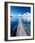 Wooden Jetty Extending off Kadidiri Island, Togian Islands, Sulawesi-Jay Sturdevant-Framed Photographic Print