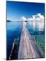 Wooden Jetty Extending off Kadidiri Island, Togian Islands, Sulawesi-Jay Sturdevant-Mounted Photographic Print