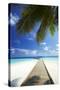 Wooden Jetty Out to Tropical Sea, Maldives, Indian Ocean, Asia-Sakis Papadopoulos-Stretched Canvas