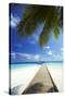 Wooden Jetty Out to Tropical Sea, Maldives, Indian Ocean, Asia-Sakis Papadopoulos-Stretched Canvas