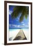 Wooden Jetty Out to Tropical Sea, Maldives, Indian Ocean, Asia-Sakis Papadopoulos-Framed Photographic Print