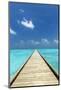 Wooden Jetty out to tropical Sea, The Maldives, Indian Ocean, Asia-Sakis Papadopoulos-Mounted Photographic Print