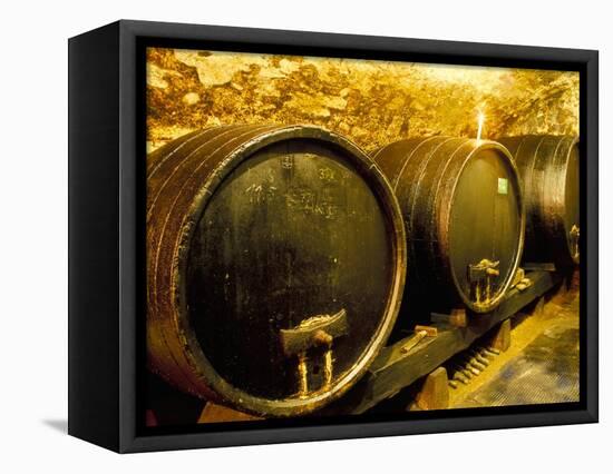 Wooden Kegs for Ageing Wine in Cellar of Pavel Soldan in Village of Modra, Slovakia-Richard Nebesky-Framed Stretched Canvas