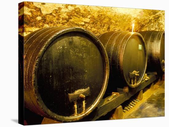 Wooden Kegs for Ageing Wine in Cellar of Pavel Soldan in Village of Modra, Slovakia-Richard Nebesky-Stretched Canvas