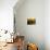 Wooden Kegs for Ageing Wine in Cellar of Pavel Soldan in Village of Modra, Slovakia-Richard Nebesky-Photographic Print displayed on a wall