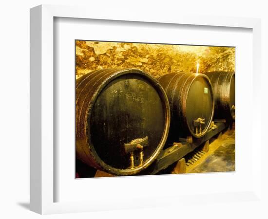 Wooden Kegs for Ageing Wine in Cellar of Pavel Soldan in Village of Modra, Slovakia-Richard Nebesky-Framed Photographic Print