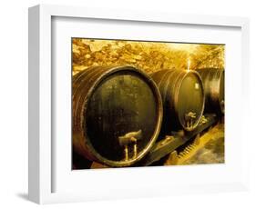 Wooden Kegs for Ageing Wine in Cellar of Pavel Soldan in Village of Modra, Slovakia-Richard Nebesky-Framed Photographic Print