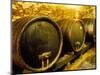 Wooden Kegs for Ageing Wine in Cellar of Pavel Soldan in Village of Modra, Slovakia-Richard Nebesky-Mounted Photographic Print