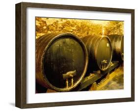 Wooden Kegs for Ageing Wine in Cellar of Pavel Soldan in Village of Modra, Slovakia-Richard Nebesky-Framed Photographic Print