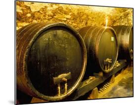 Wooden Kegs for Ageing Wine in Cellar of Pavel Soldan in Village of Modra, Slovakia-Richard Nebesky-Mounted Photographic Print