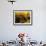 Wooden Kegs for Ageing Wine in Cellar of Pavel Soldan in Village of Modra, Slovakia-Richard Nebesky-Framed Photographic Print displayed on a wall