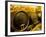 Wooden Kegs for Ageing Wine in Cellar of Pavel Soldan in Village of Modra, Slovakia-Richard Nebesky-Framed Photographic Print