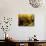 Wooden Kegs for Ageing Wine in Cellar of Pavel Soldan in Village of Modra, Slovakia-Richard Nebesky-Mounted Photographic Print displayed on a wall