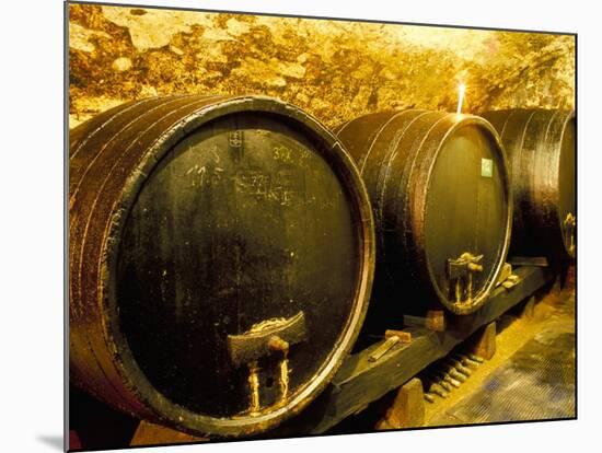 Wooden Kegs for Ageing Wine in Cellar of Pavel Soldan in Village of Modra, Slovakia-Richard Nebesky-Mounted Photographic Print