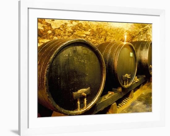 Wooden Kegs for Ageing Wine in Cellar of Pavel Soldan in Village of Modra, Slovakia-Richard Nebesky-Framed Photographic Print