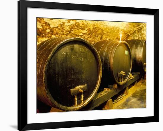 Wooden Kegs for Ageing Wine in Cellar of Pavel Soldan in Village of Modra, Slovakia-Richard Nebesky-Framed Photographic Print