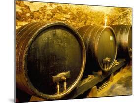 Wooden Kegs for Ageing Wine in Cellar of Pavel Soldan in Village of Modra, Slovakia-Richard Nebesky-Mounted Photographic Print