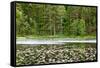 Wooden Lake-Nelosa-Framed Stretched Canvas