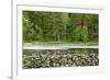 Wooden Lake-Nelosa-Framed Photographic Print