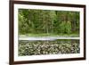 Wooden Lake-Nelosa-Framed Photographic Print