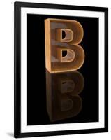 Wooden Letter B-Andriy Zholudyev-Framed Art Print