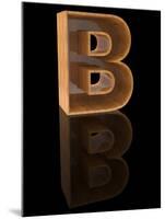 Wooden Letter B-Andriy Zholudyev-Mounted Art Print