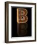 Wooden Letter B-Andriy Zholudyev-Framed Art Print