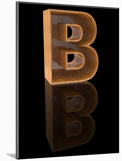 Wooden Letter B-Andriy Zholudyev-Mounted Art Print