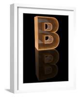 Wooden Letter B-Andriy Zholudyev-Framed Art Print