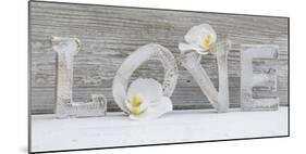 Wooden Letters 'Love' with Orchid Blossoms-Uwe Merkel-Mounted Photographic Print